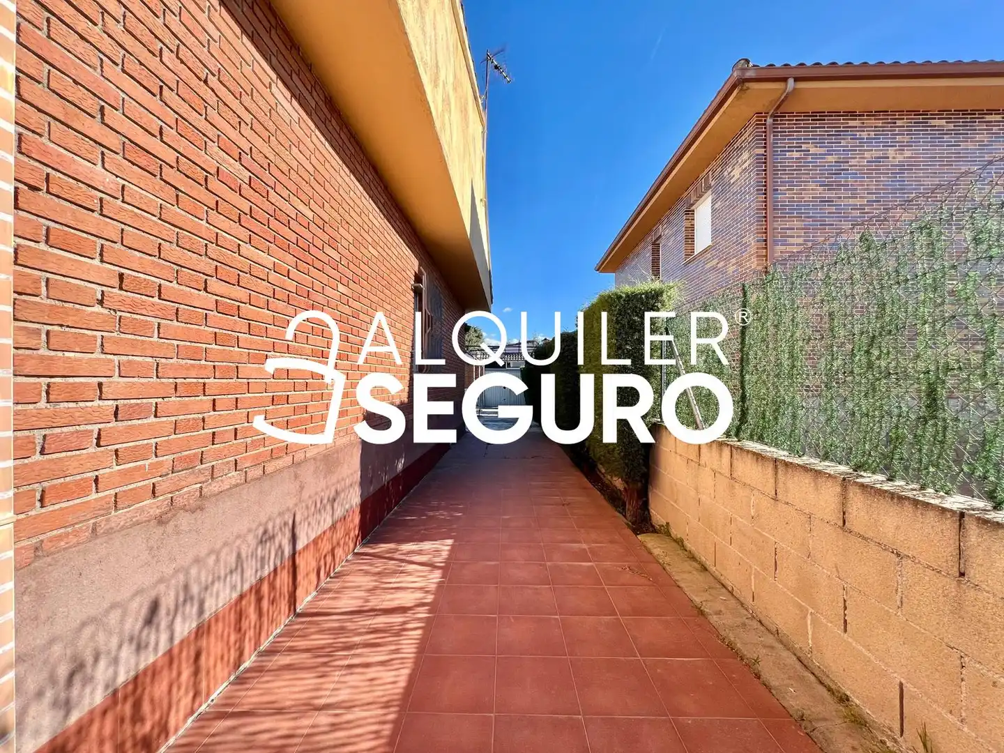 Vista exterior de Casa o chalet de alquiler en Valdetorres de Jarama con Calefacción, Terraza y Trastero
