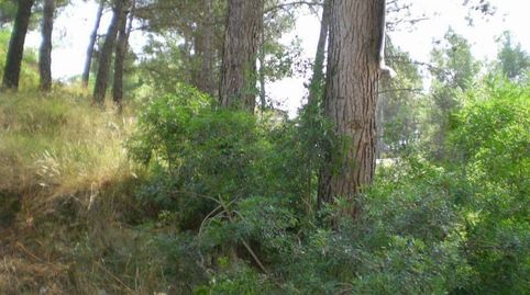 SOLAR EN VENTA, immagine 3