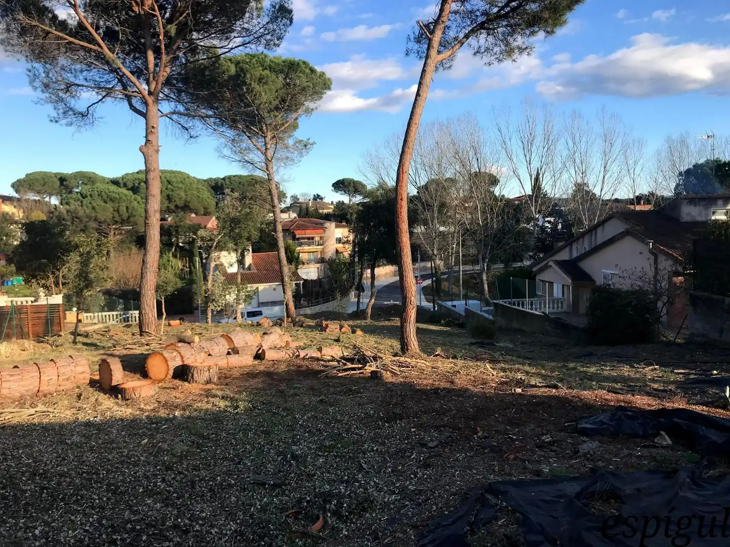 Terreno rústico en venta en Can Marti de les Barraques 14, imagen 9