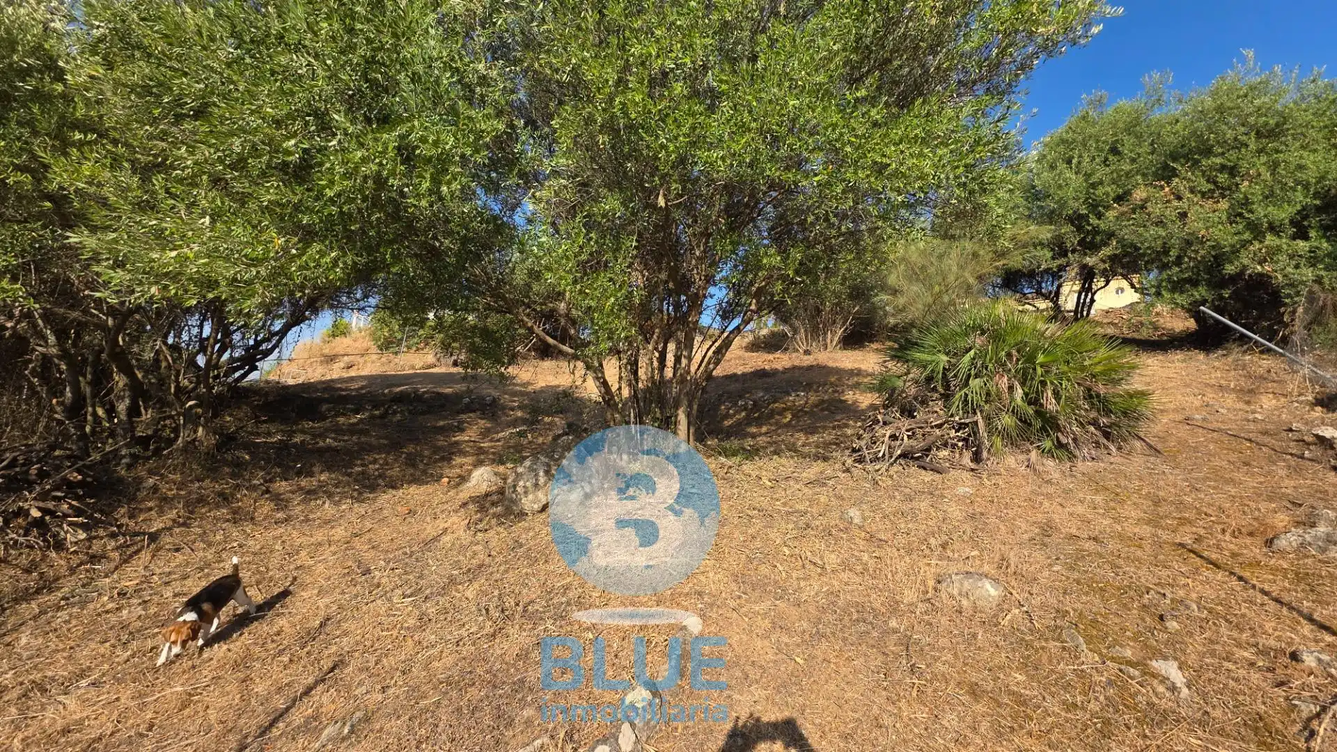 Residential land for sale in Almodóvar del Río, imagen 16