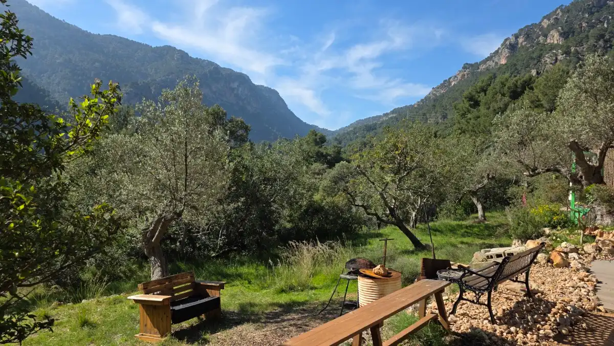 Terreny rústic en venda a Sóller, imagen 13