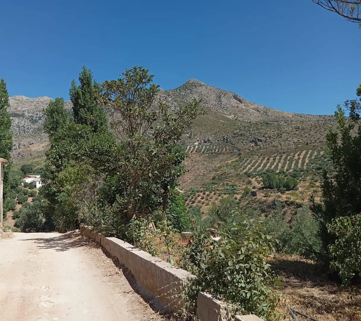 Xalet amb piscina en venda a Sierra Mágina, imagen 35