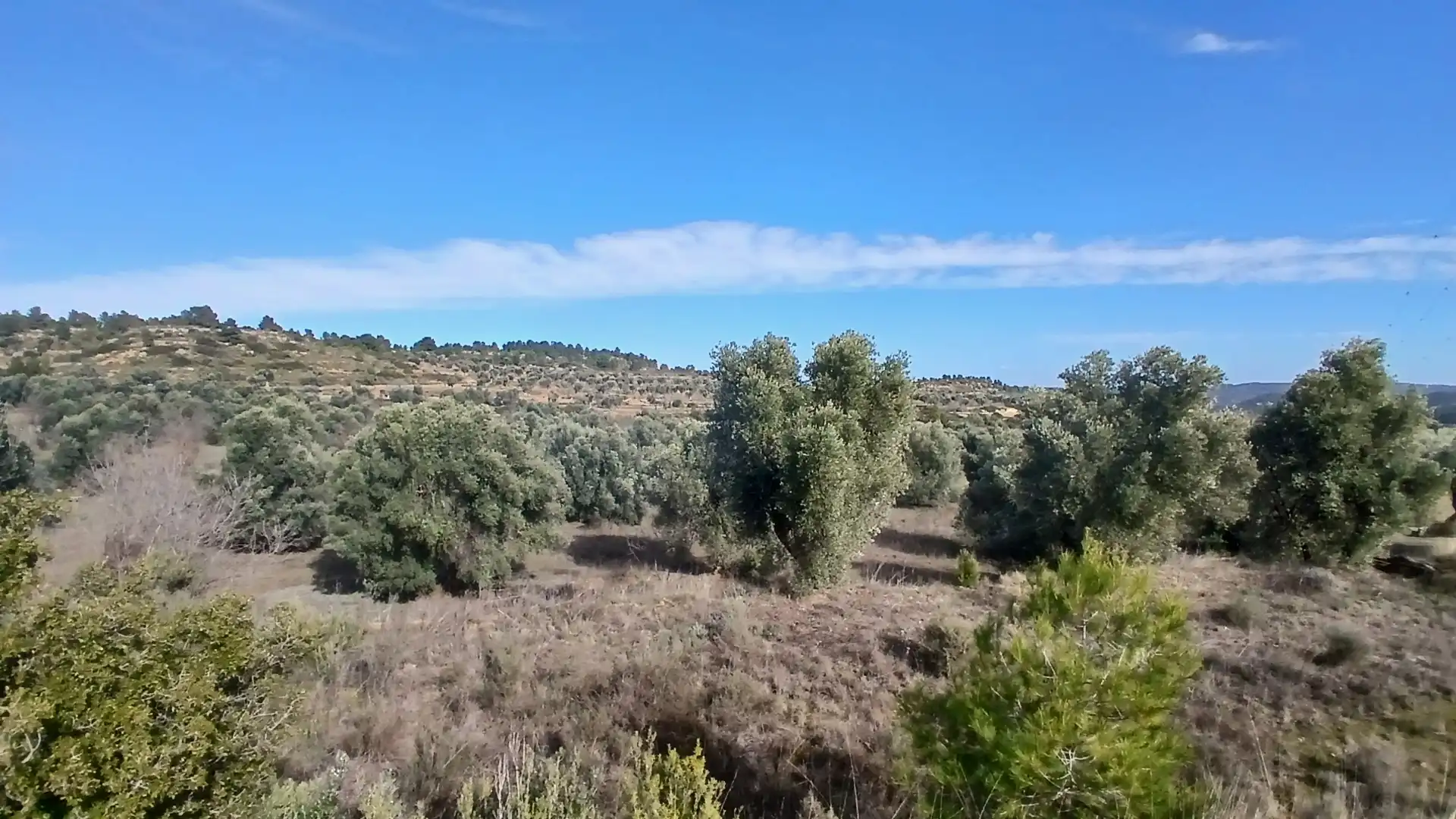 Terreni e lotti in vendita a Calaceite, imagen 2