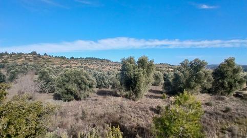 Photo 2 of Land for sale in N/a, -1, Calaceite, Teruel