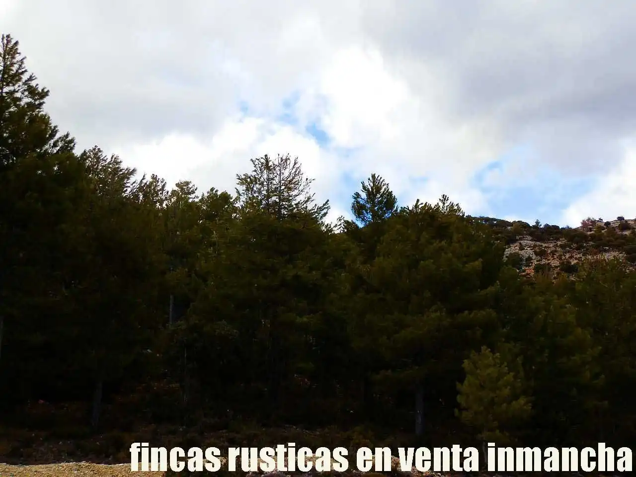 Terreni e lotti in vendita a Nerpio, imagen 9