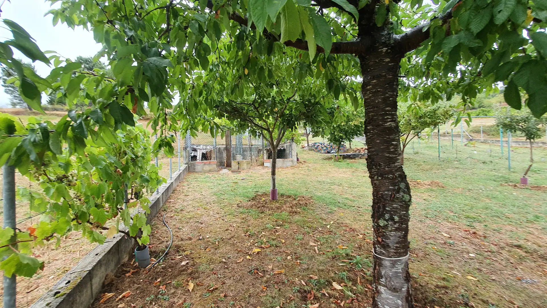 Casa o chalet en venta en Vega de Espinareda con Calefacción, Jardín privado y Terraza