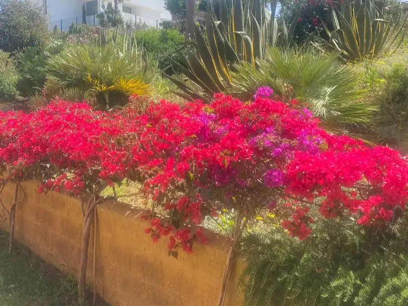 Apartament amb jardí de lloguer a Calle Casares del Sol 4, imagen 19