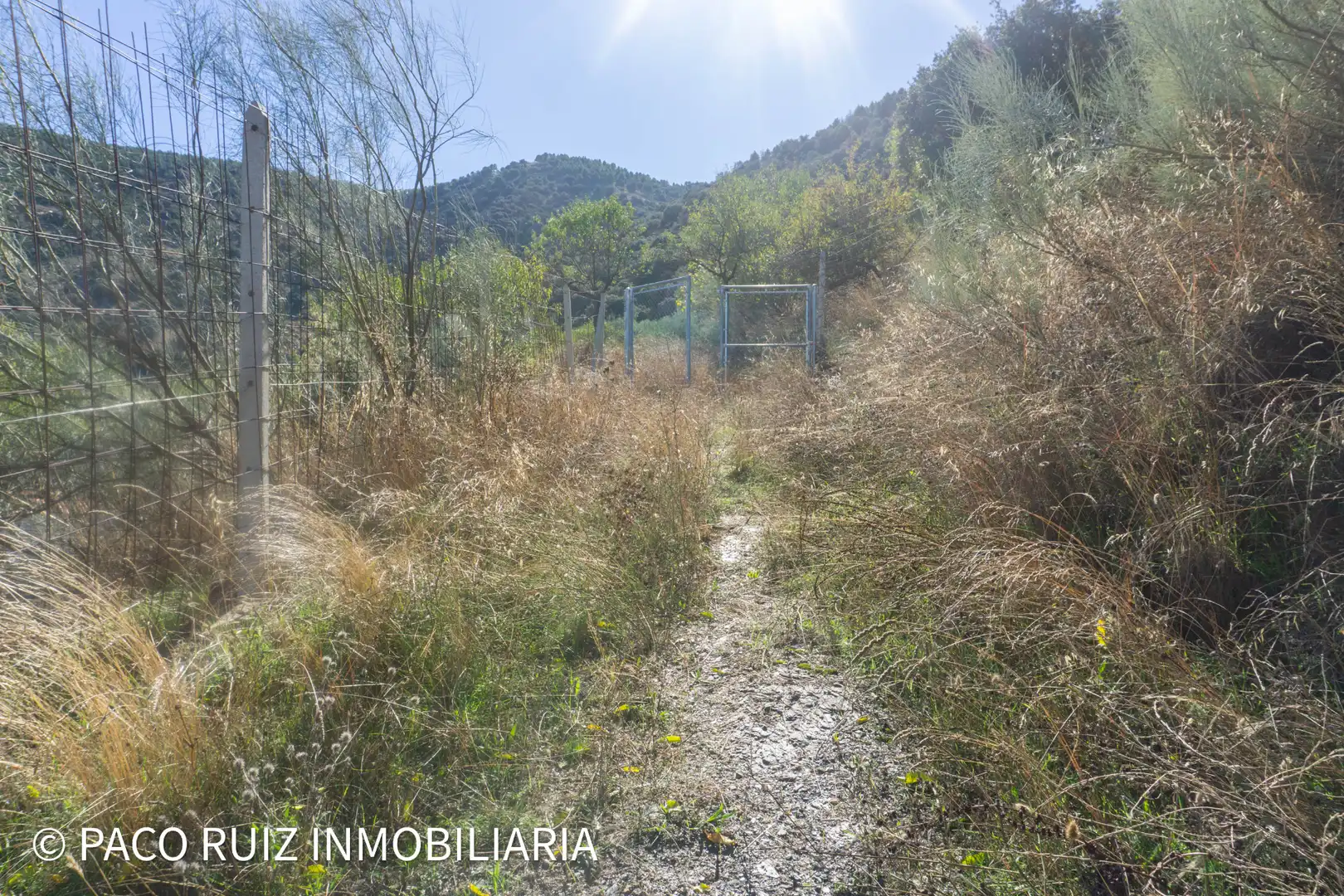 Finca rústica en venta en Purchena