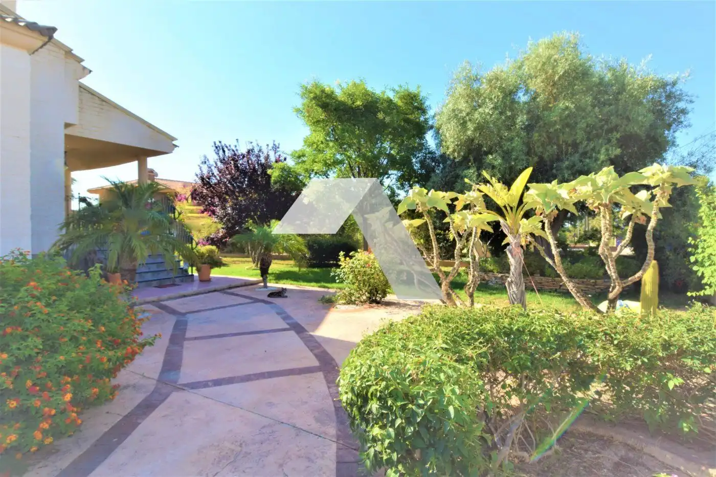 Houses for sale in Villamontes - Boqueres