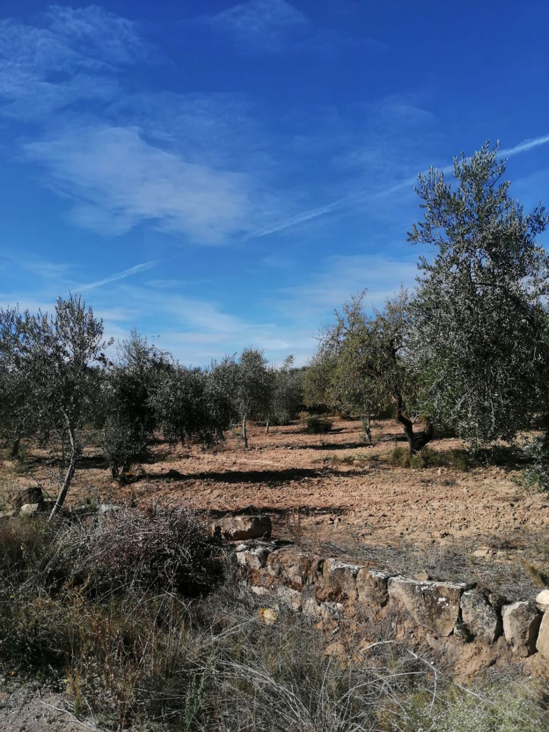Finca rústica en venda en Castelldans