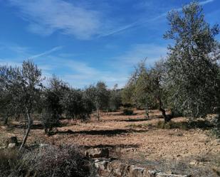 Finca rústica en venda en Castelldans