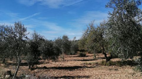 Finca Rúst. en venta en Castelldans.