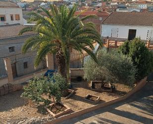 Vista exterior de Casa o xalet en venda en Horcajo de los Montes amb Aire condicionat, Calefacció i Jardí privat