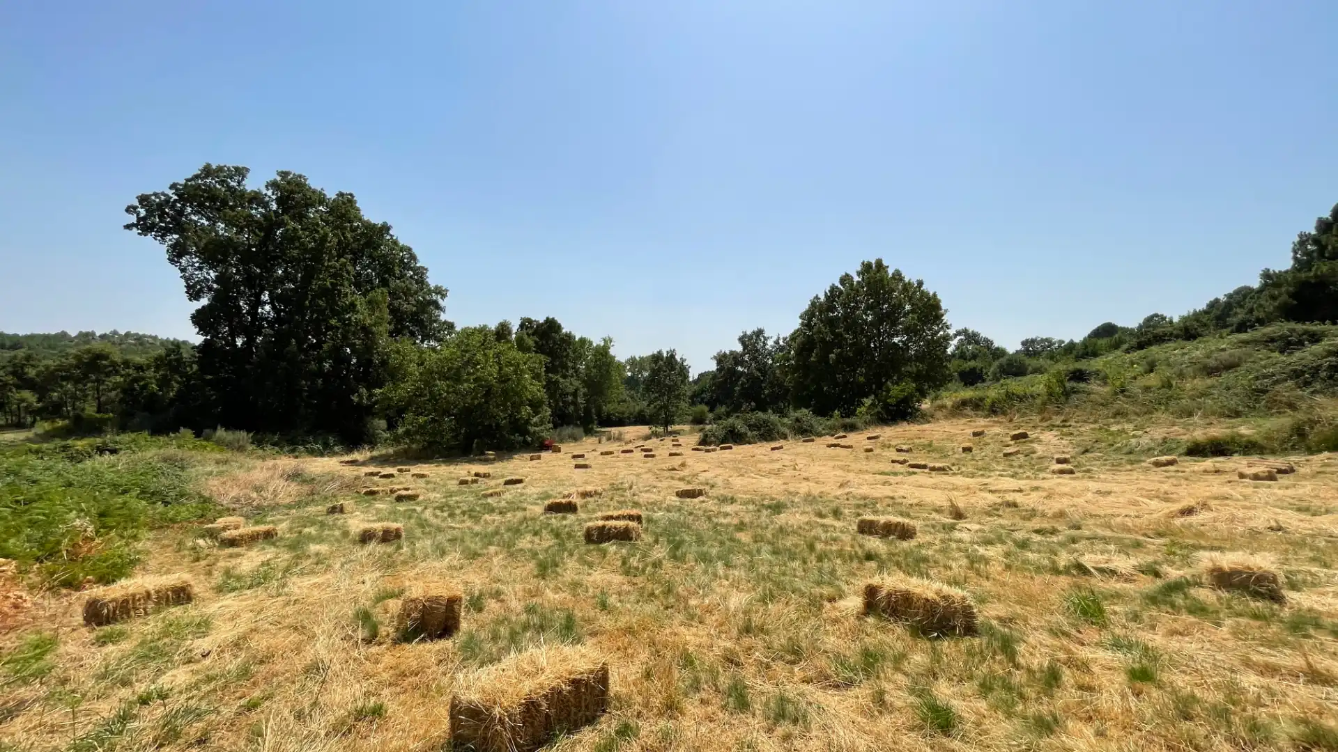 Grundstücke zum Verkauf in El Arenal 