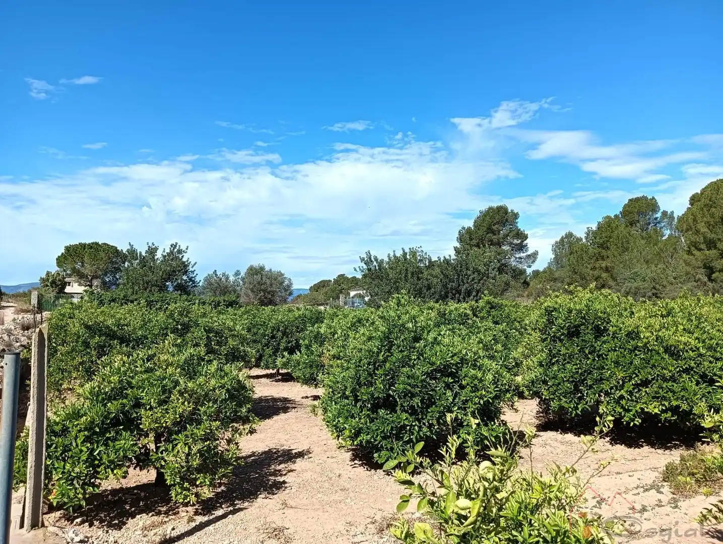 Terrenos y solares en venta en Pedralba, imagen 4