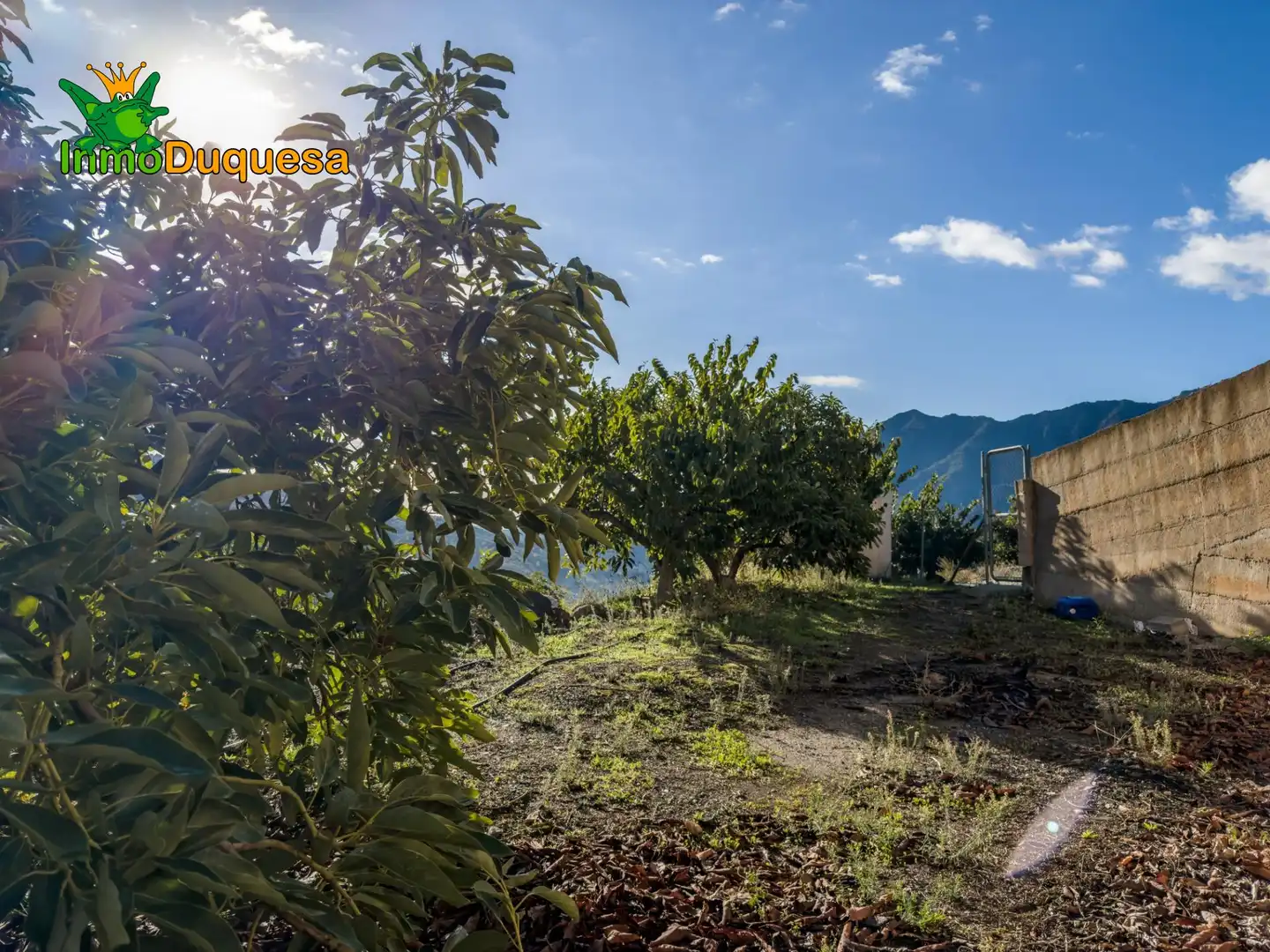 Casa rústica en venta en Calle Diseminados, Pol-8 Par-359 000, imagen 23
