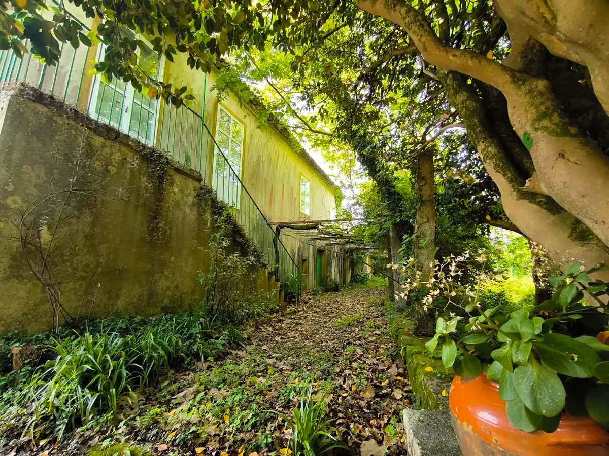 Vista exterior de Casa o chalet en venta en Vilagarcía de Arousa con Calefacción, Jardín privado y Amueblado