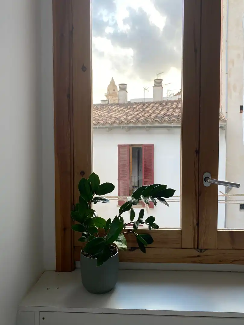 Terrassa de Apartament de lloguer en  Palma de Mallorca