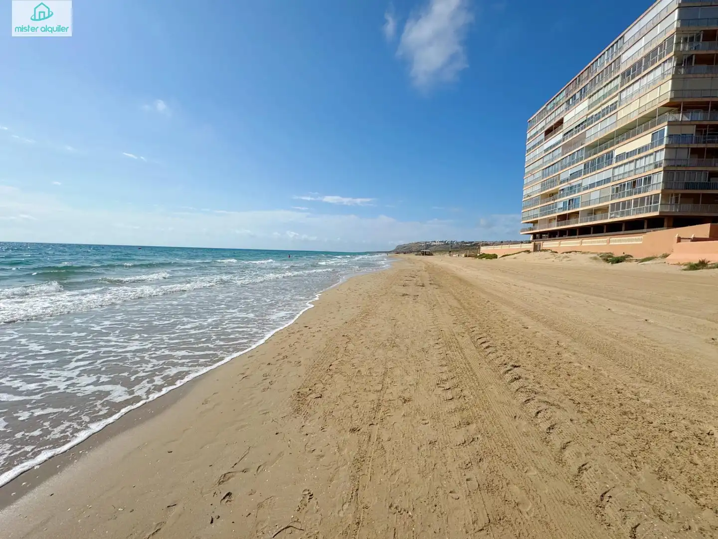 Exterior view of Study for rent in Elche / Elx  with Heating and Furnished