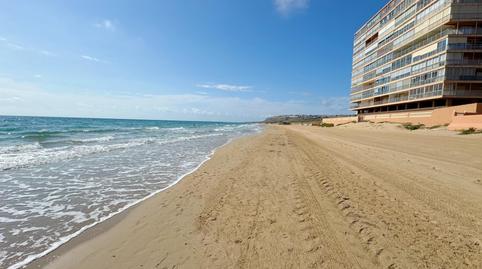 Foto 3 de Estudi de lloguer a Avenida San Bartolome Tirajana, 65, Los Arenales del Sol, Elche / Elx