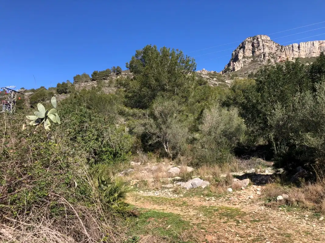 Rural land for sale in Barx, imagen 5