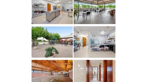 Foto 2 von Geschaftsraum zum Verkauf in Avenida Camp de Les Eres del, Alió, Tarragona