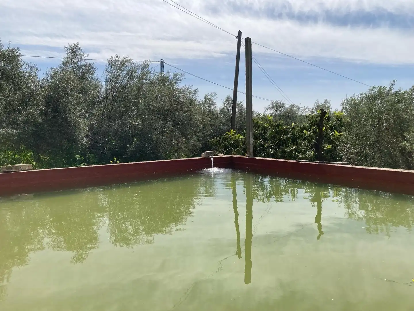 Casa rústica amb jardí en venda a Bobadilla - Bobadilla Estación - La Joya, imagen 5