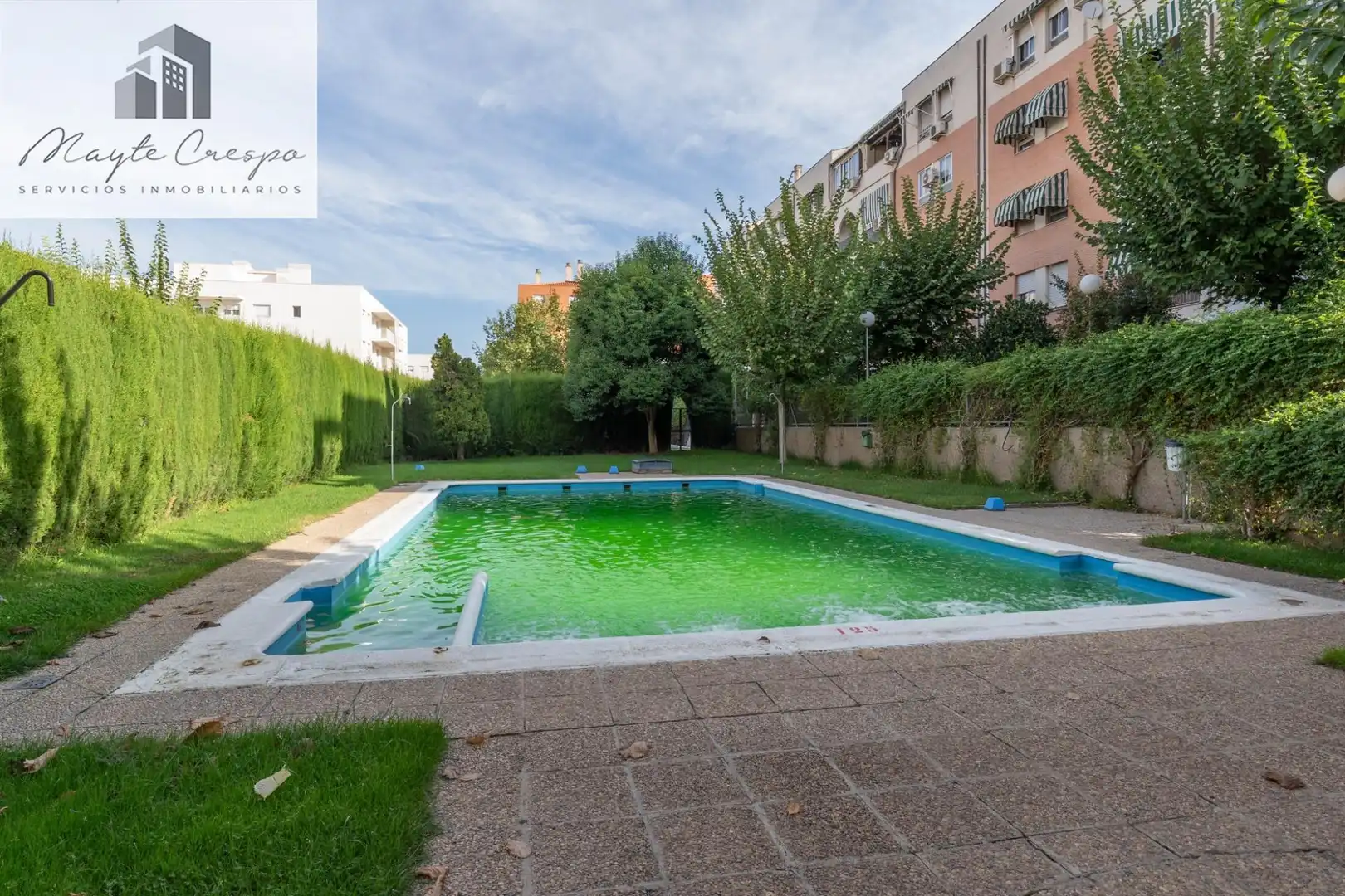 Pis amb piscina en venda a Norte, imagen 66