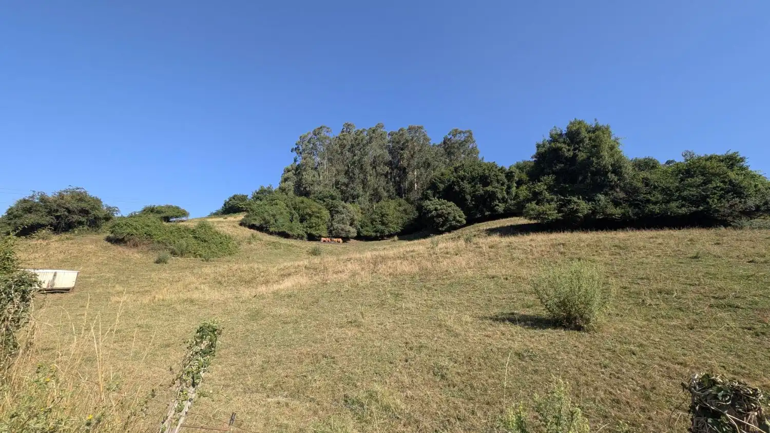 Terreni e lotti in vendita a EL JURRIO 75