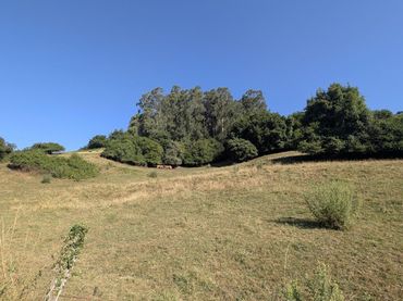 Terreno residencial en venta en EL JURRIO 75