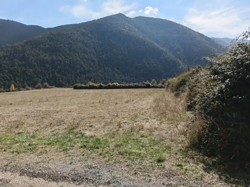 Terreni e lotti in vendita a calle alta