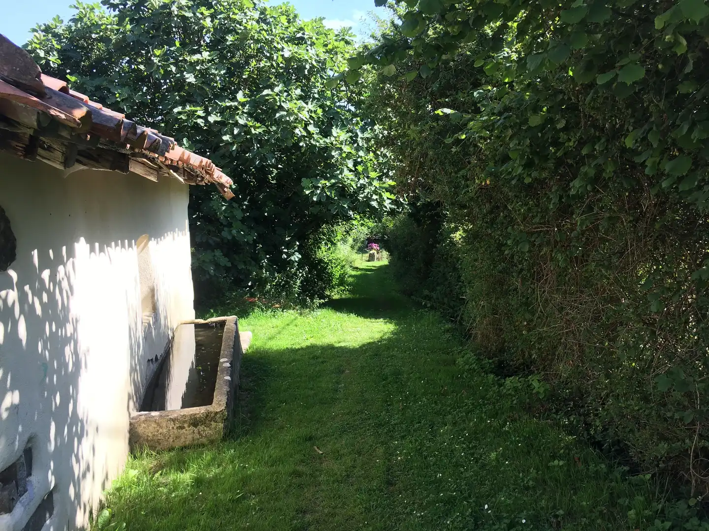 Jardín de Finca rústica en venta en Beasain