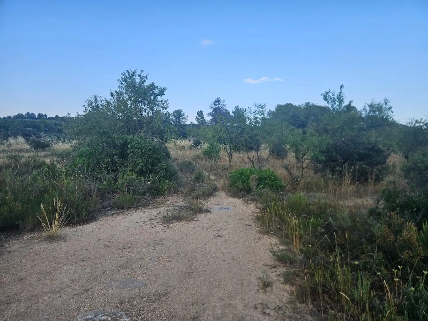 Land for sale in La Pobla de Cérvoles
