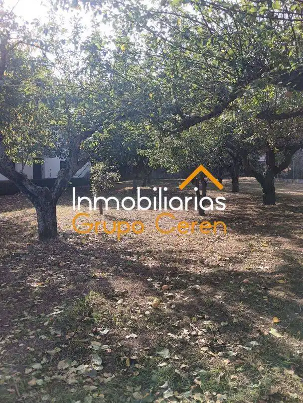 Casa o chalet en venta en Ojacastro