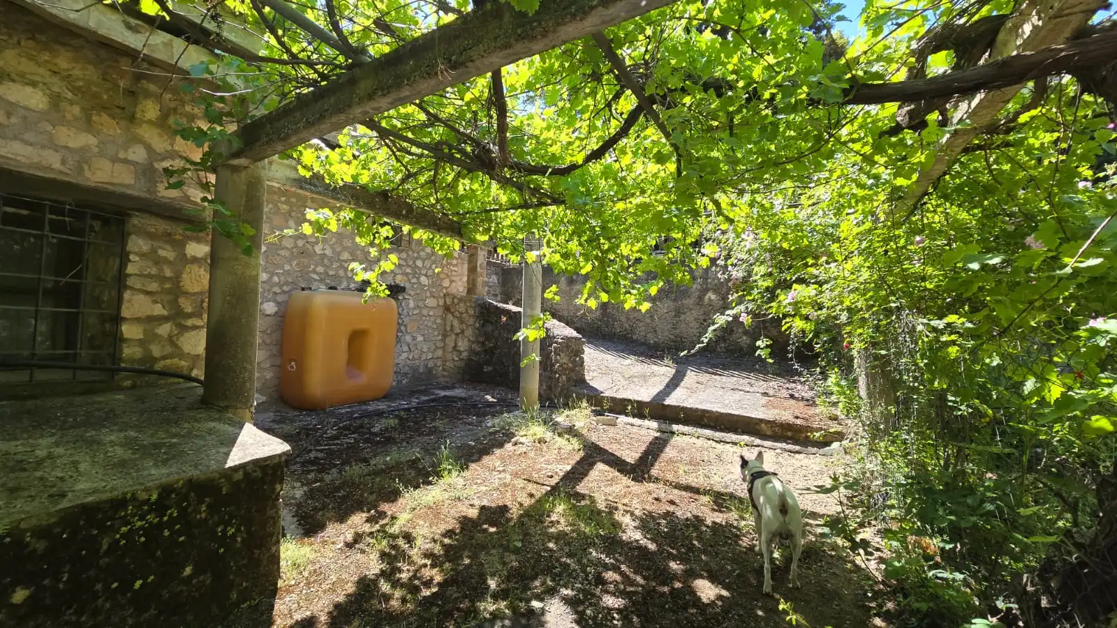Jardín de Finca rústica en venta en Villanueva del Arzobispo con Calefacción, Trastero y Piscina