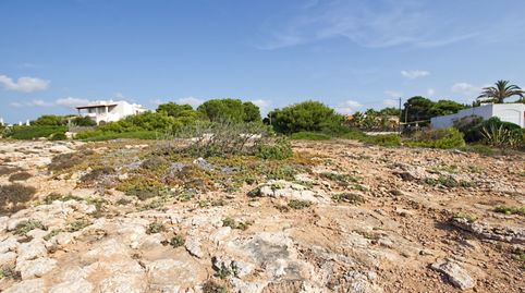 Solar en primera línea del mar en venta en Cala Pi, Mallorca, immagine 5