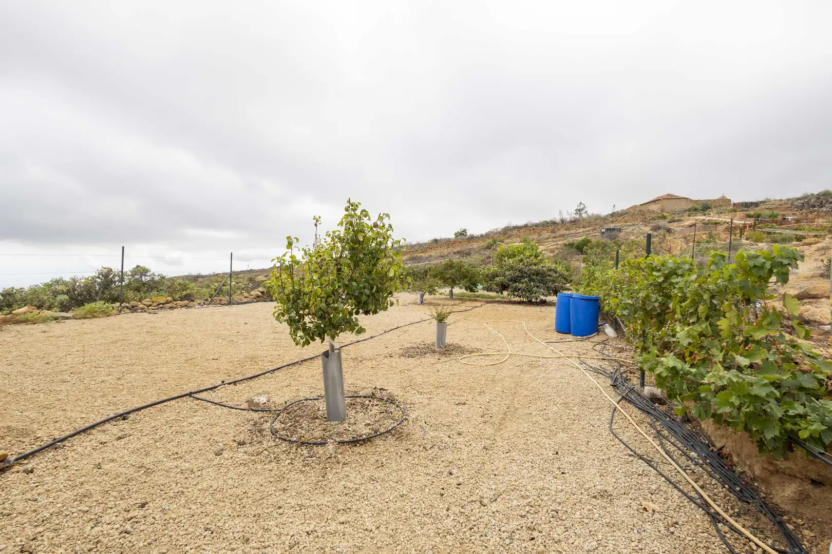 Terreno rustico in vendita a Calle San Bartolomé, imagen 13