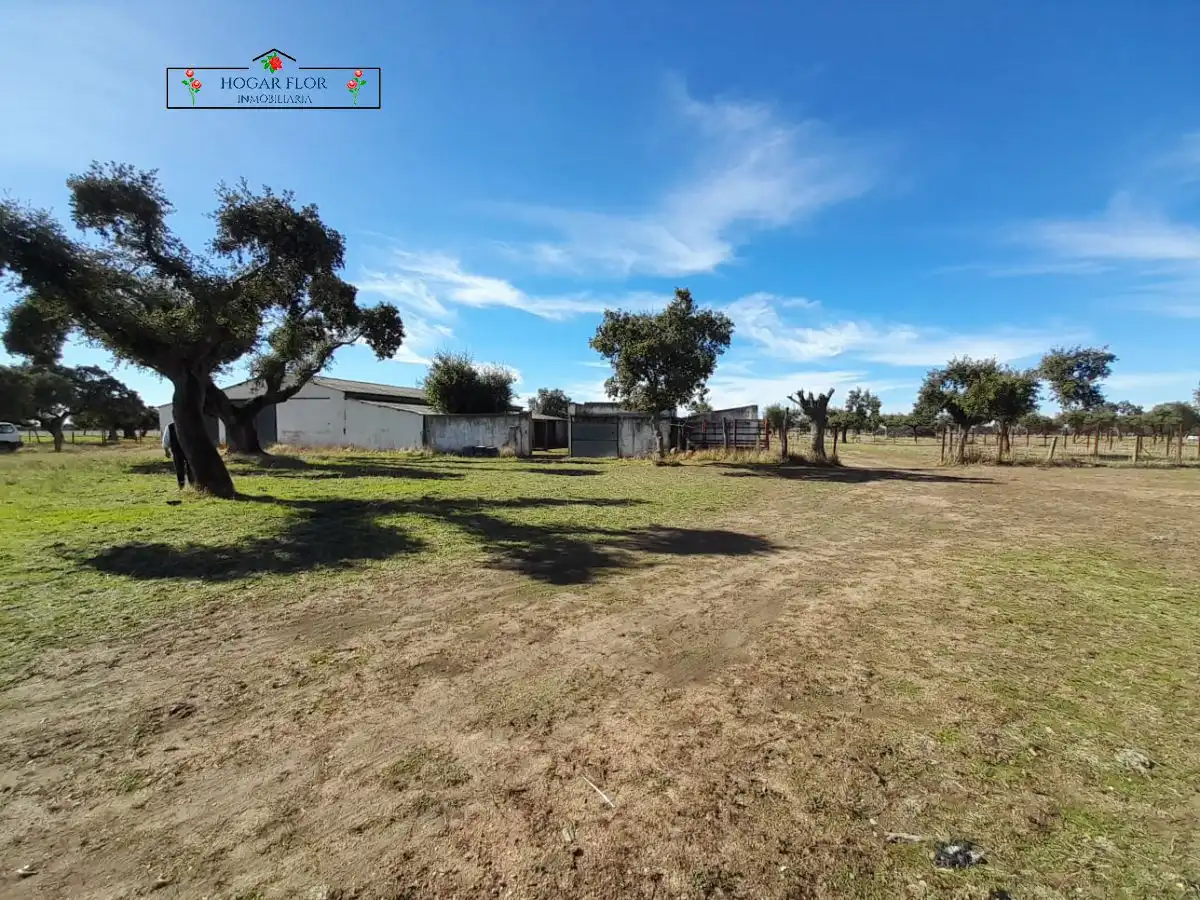 Finca rústica en venta en Carrascal del Obispo