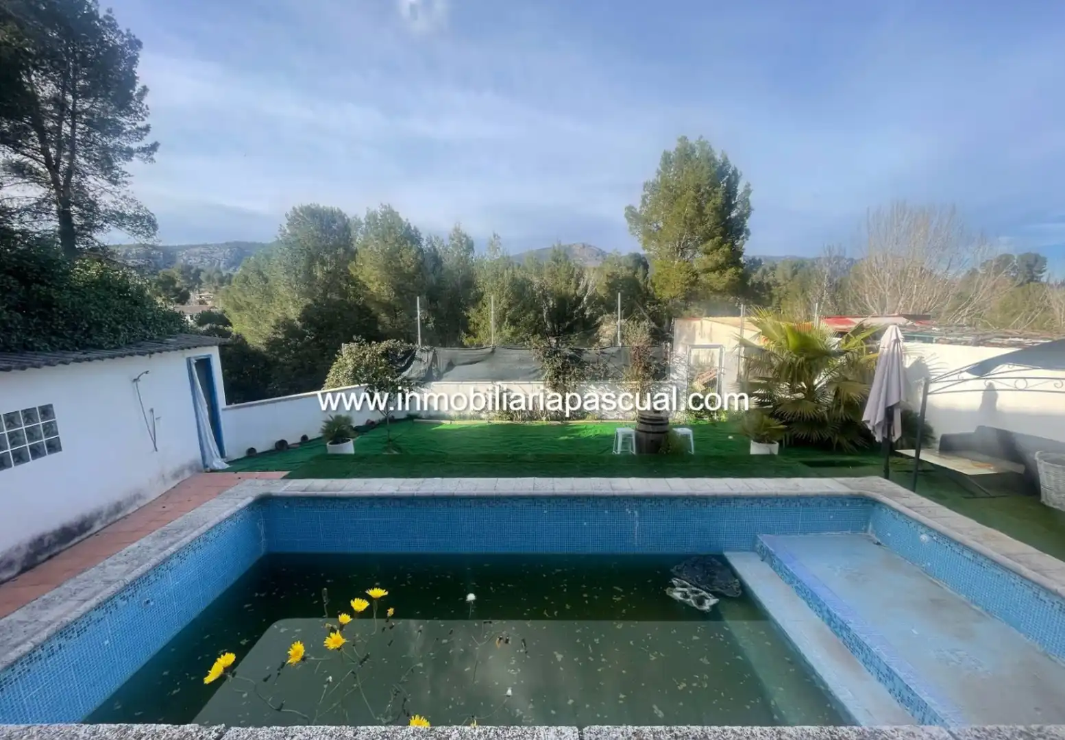 Piscina de Casa o chalet en venta en Muro de Alcoy