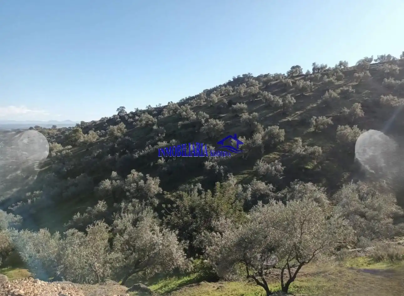 Country homes for sale in Adamuz, Córdoba