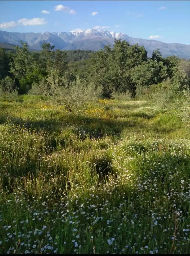 Terreni e lotti in vendita a Villanueva de la Vera, imagen 6