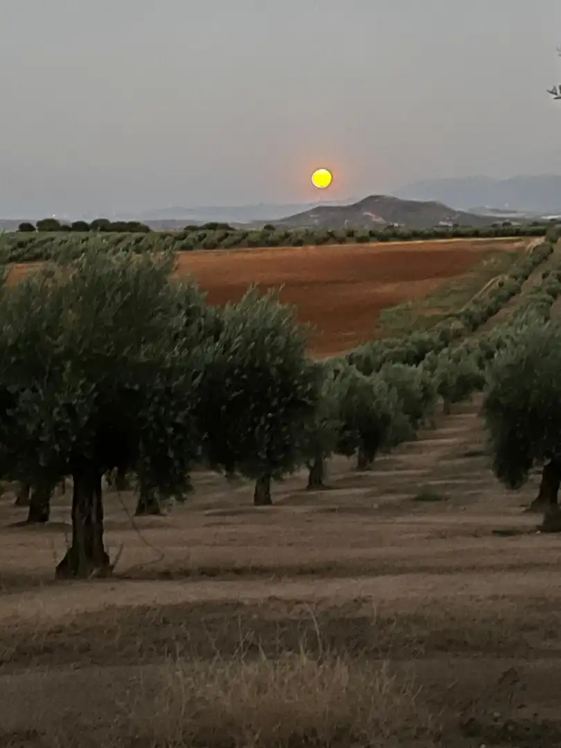 Terreny rústic en venda a Bélmez de la Moraleda, imagen 3