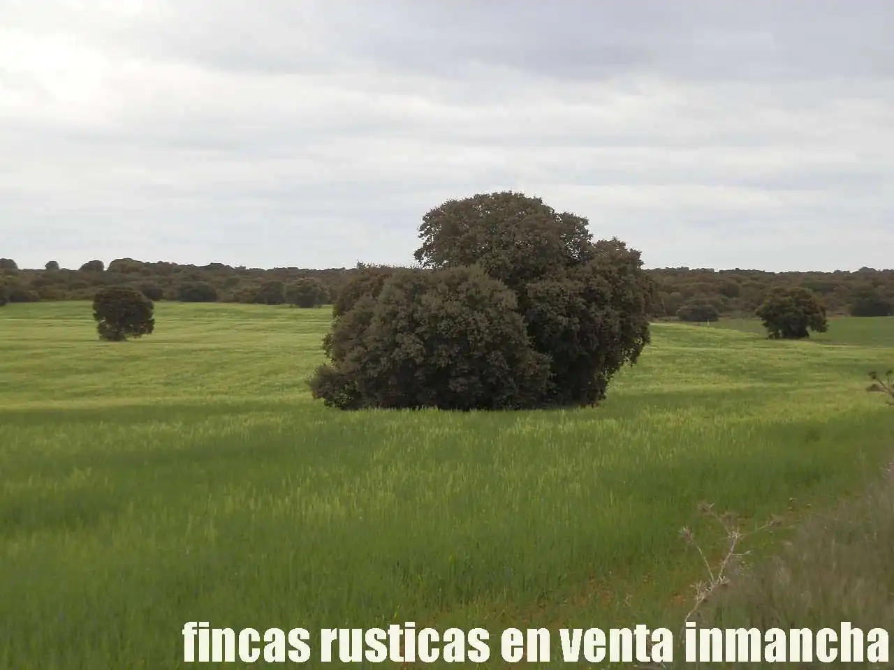 Terreno rustico in vendita a Ruidera, imagen 20