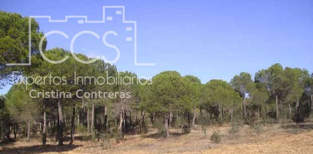 Finca rústica en Venta en Cabezas Rubias
