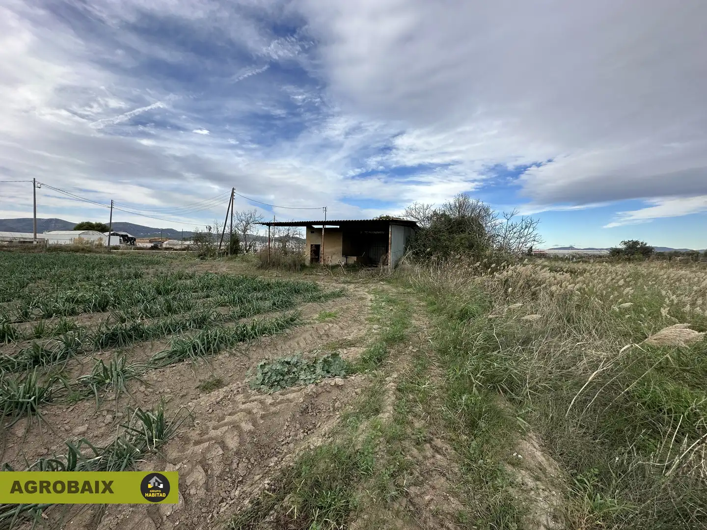 Rural land for sale in Torrent Ballester, imagen 5