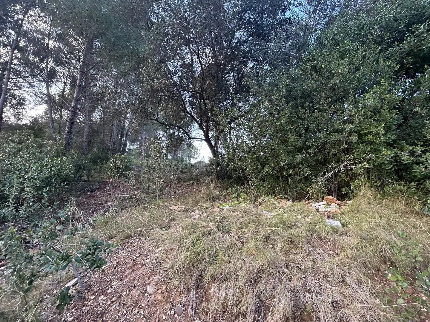 Rustikales Grundstück zum Verkauf in CAN FELIU, imagen 12