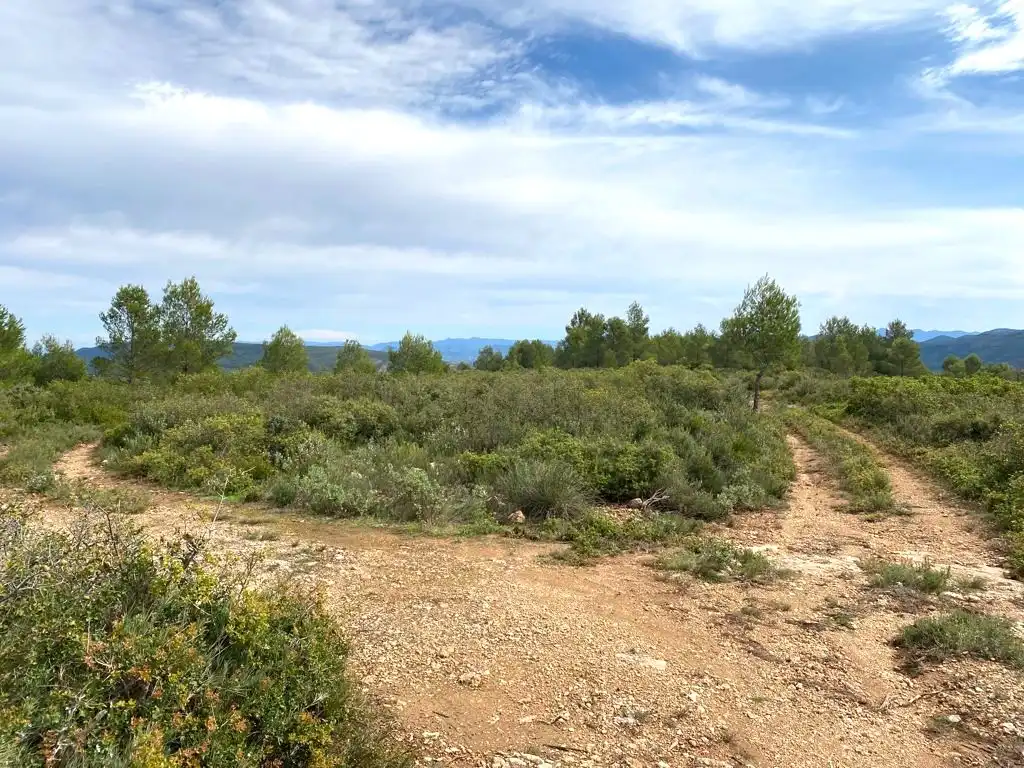 Terreno residencial en venta en 7, imagen 4