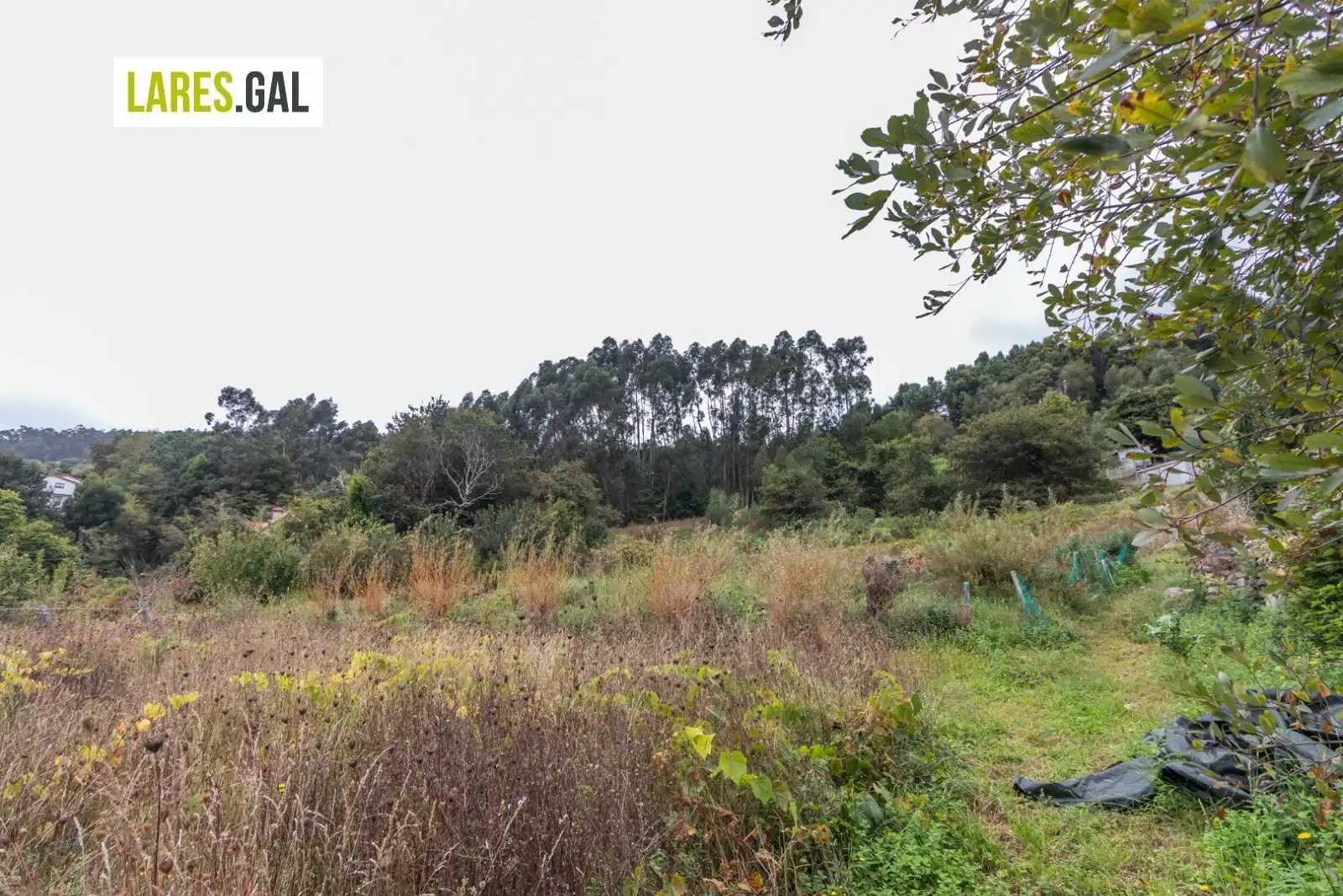 Terrain rustique à vendre à Paradela, imagen 11
