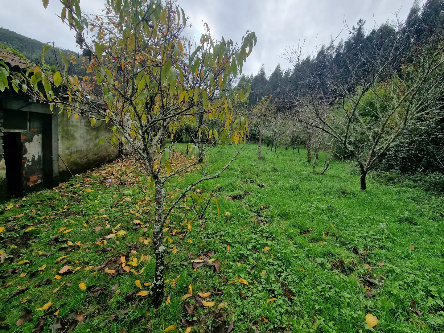Maison avec jardin à vendre à Valdoviño, imagen 7