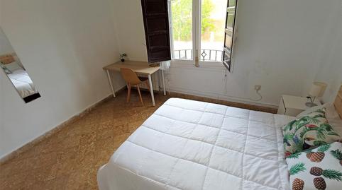 Photo 5 of Planta baja to share in De Cartuja, San Ildefonso, Granada